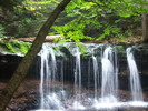 photo thumbnail #6