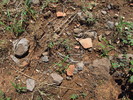photo thumbnail #12