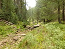 photo thumbnail #4