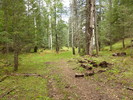 photo thumbnail #9