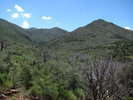 photo thumbnail #10