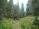 photo thumbnail #15
