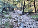 photo thumbnail #2
