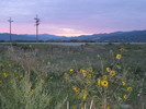 photo thumbnail #1