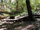 photo thumbnail #7