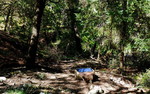 photo thumbnail #8