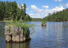 photo thumbnail #9