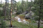 photo thumbnail #3