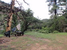 photo thumbnail #9