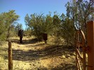 photo thumbnail #2