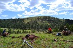 photo thumbnail #3