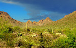 photo thumbnail #8