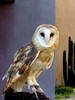 photo thumbnail #10