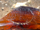photo thumbnail #10