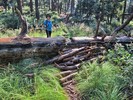 photo thumbnail #2