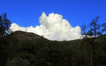 photo thumbnail #15