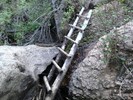 photo thumbnail #6