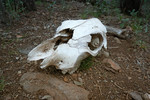 photo thumbnail #14