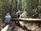 photo thumbnail #8