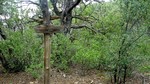 photo thumbnail #9