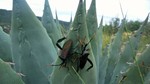 photo thumbnail #13