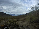 photo thumbnail #2