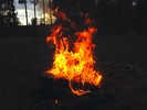 photo thumbnail #15