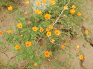 photo thumbnail #12