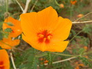 photo thumbnail #13