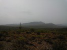 photo thumbnail #15