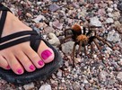 photo thumbnail #8