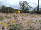 photo thumbnail #5