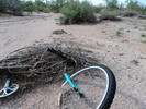photo thumbnail #8