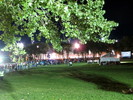 photo thumbnail #12
