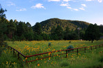 photo thumbnail #8
