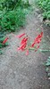 photo thumbnail #13