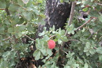 photo thumbnail #7