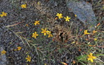 photo thumbnail #15