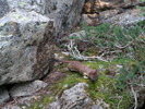 photo thumbnail #11