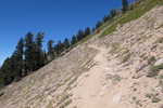 photo thumbnail #7