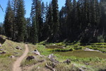 photo thumbnail #14