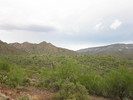 photo thumbnail #5