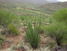 photo thumbnail #7