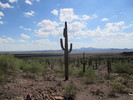 photo thumbnail #5