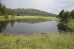 photo thumbnail #15