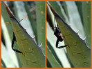 photo thumbnail #3