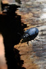 photo thumbnail #11