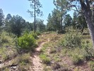 photo thumbnail #11