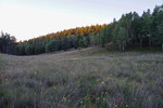 photo thumbnail #2