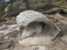 photo thumbnail #10